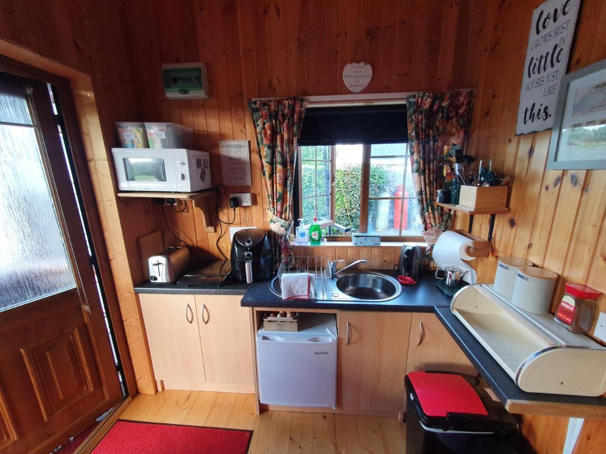 Cosy Countryside Log Cabin Kilkenny Dış mekan fotoğraf