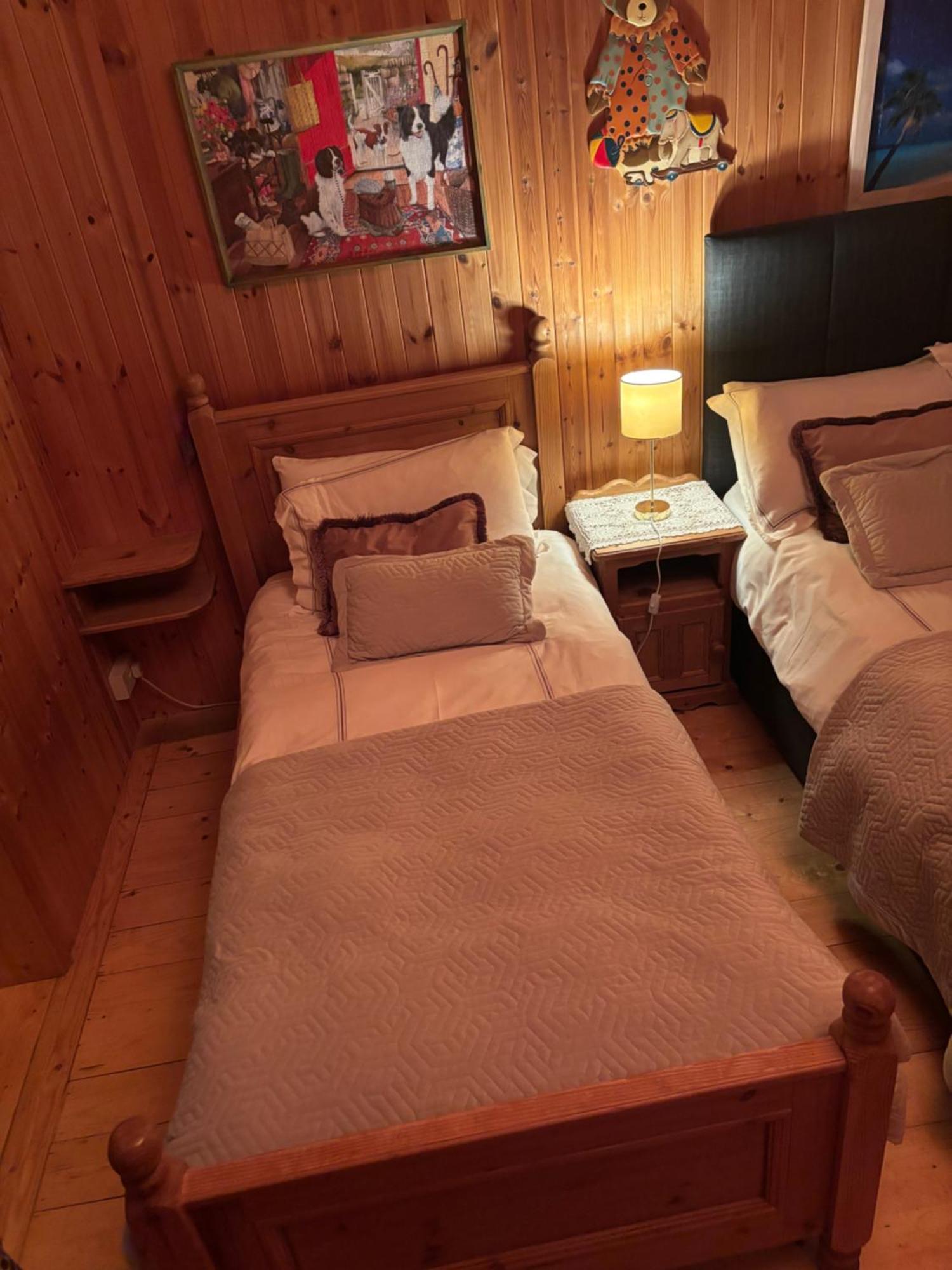 Cosy Countryside Log Cabin Kilkenny Dış mekan fotoğraf